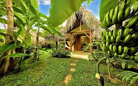 Casa Picaflor